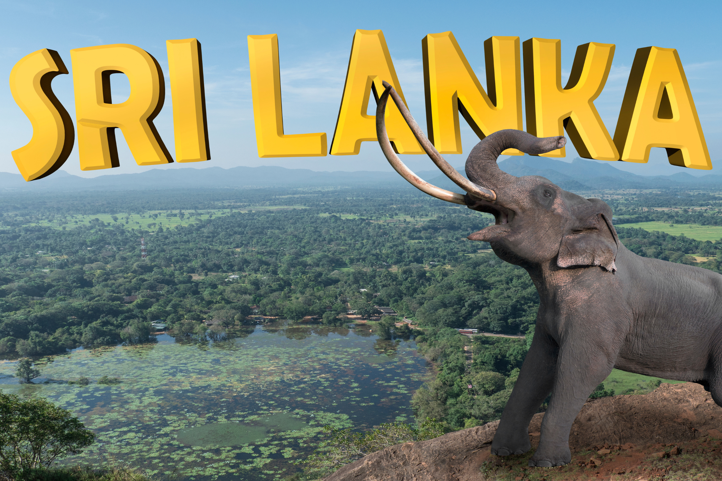 polonnaruwa (sri lanka) (4).webp
